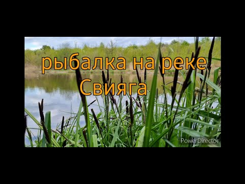 Видео: Рыбалка на фидер р. Свияга, г. Ульяновск подлещик, практически лещ.