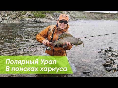 Видео: Полярный Урал. В поисках хариуса