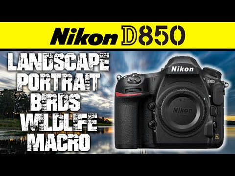 Видео: Nikon D850 | ОДИН комплект для всех типов фотографии!