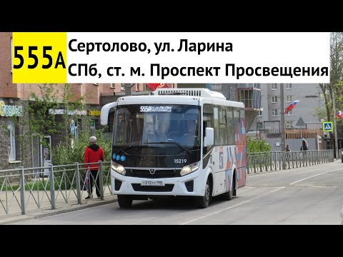 Видео: Автобус 555а "Сертолово, ул. Ларина - СПб, ст. м. "Проспект Просвещения" (старая трасса)