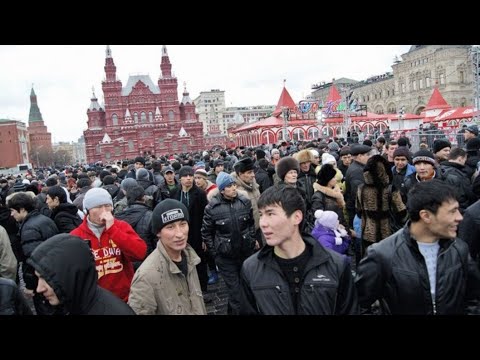 Видео: москва ташкент автобус билет #мигранты #патент #узбеки #2025