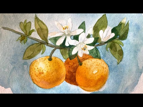 Видео: Как нарисовать мандарины на ветке акварелью. Цветущая весна. Пишем поэтапно