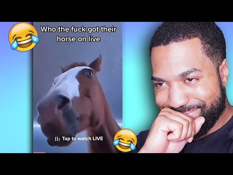 Видео: Если я засмеюсь, видео закончится...