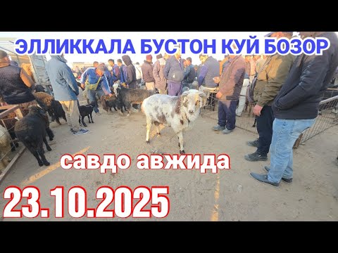 Видео: 23 октября 2025 ЭЛЛИККАЛА БУСТОН КУЙ БОЗОР САВДО АВЖИДА