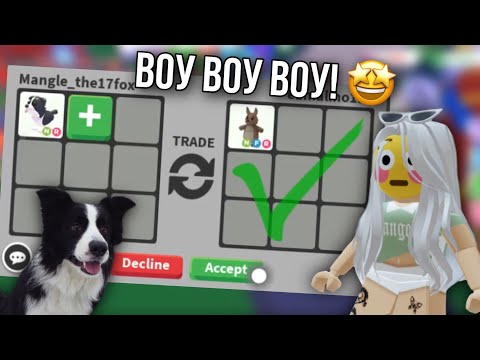 Видео: ТРЕЙДЫ НА НЕОН БОРДЕР КОЛЛИ В АДОПТ МИ 🤩