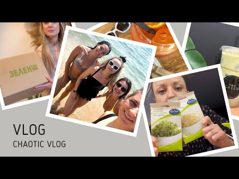 Видео: Рожден ден във Варна, “Спасих” храна, домашни кълнове-как да си ги направим. Хаотичен влог 2