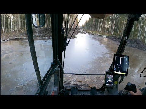 Видео: Зимняя лесная дорога -- Часть 1