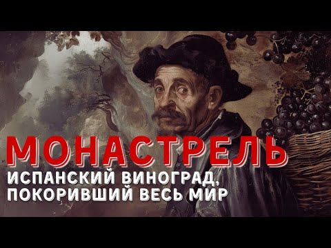 Видео: Сорт винограда [МОНАСТРЕЛЬ] - испанец, покоривший мир