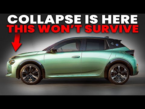 Видео: 9 брендов, которые не выживут в 2026 году