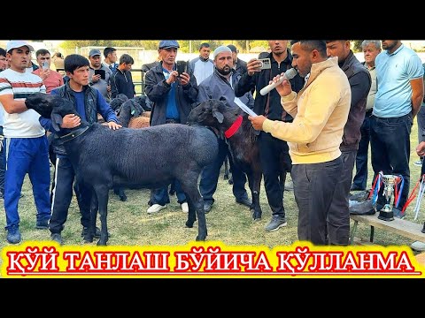 Видео: ХИСОРИ ҚЎЙЛАР КЎРГАЗМАСИ СЎНГИ ҚИСМ