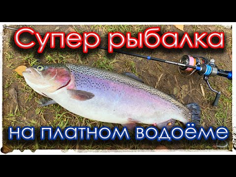 Видео: Супер рыбалка на платном водоёме. Мормышинг - рулит!