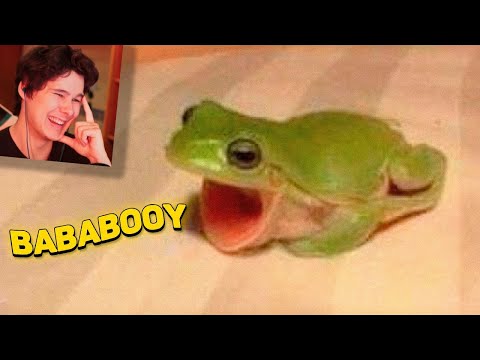 Видео: 7 МИНУТ СМЕХА | ЛУЧШИЕ ПРИКОЛЫ МАРТ 2021 ПОПРОБУЙ ЗАСМЕЯТЬСЯ ЧЕЛЛЕНДЖ ЗАСМЕЯЛСЯ ПРОИГРАЛ