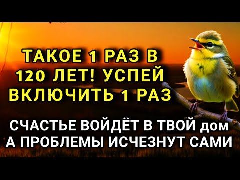 Видео: УСПЕЙ ВКЛЮЧИТЬ 1раз! СЧАСТЬЕ ВОЙДЁТ В ДОМ, А ПРОБЛЕМЫ ИСЧЕЗНУТ САМИ! Это Чудо 🔊🤲✨🔑💯
