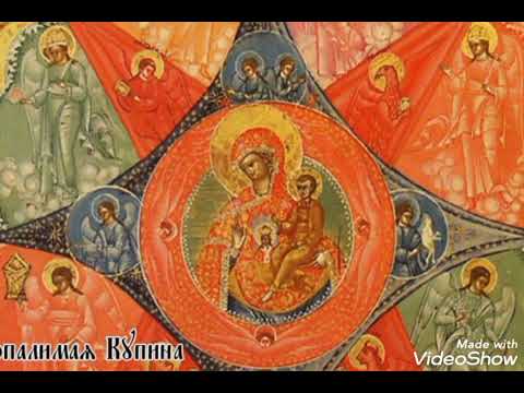 Видео: Проповедь иеромонаха Мефодия (Зинковского). Святые почувствовали радость Божией любви