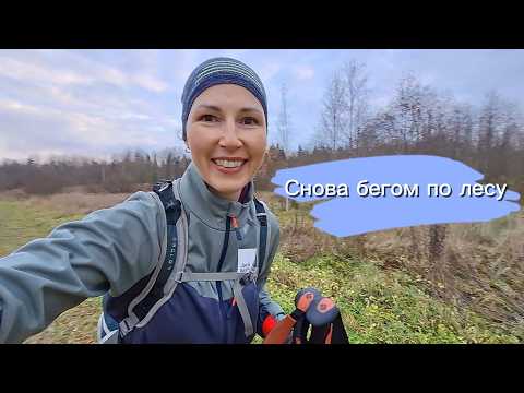 Видео: Снова бегом по лесу, брод, болота| Встретили колонну джиперов