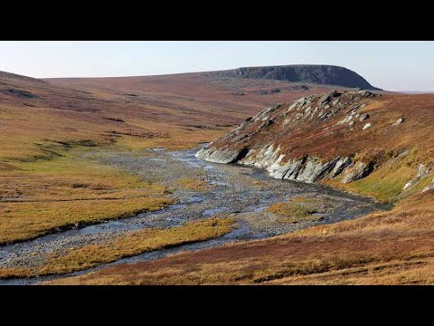 Видео: Путешествие к р. Сев. Чигимхарута, сплав с рыбалкой. Полярный Урал. Часть 1. Пешком к началу сплава.