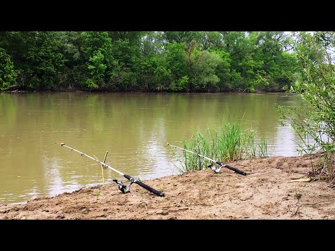 Видео: ПЕРВАЯ РЫБАЛКА НА КУБАНИ В 2023!!!