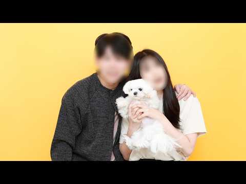 Видео: Собака, озадаченная тем, что такое семейное фото