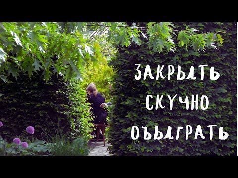 Видео: закрыть скучно обыграть