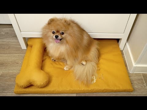 Видео: DIY 🐾Шьем лежак для питомца 🐾