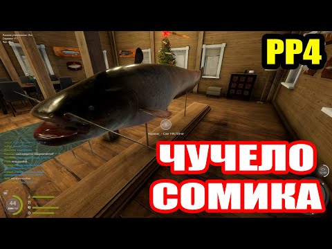 Видео: Сколько стоил мне ТРОФЕЙНЫЙ СОМ? ● Русская Рыбалка 4 | РР4