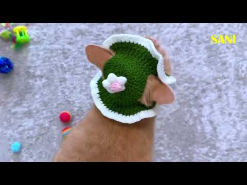 Видео: кратко о SANISHOW #5