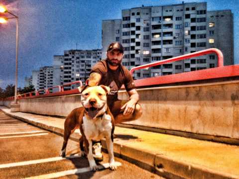 Видео: Булет Чефо Машината Хората от Гетото - Кучетата умират сами