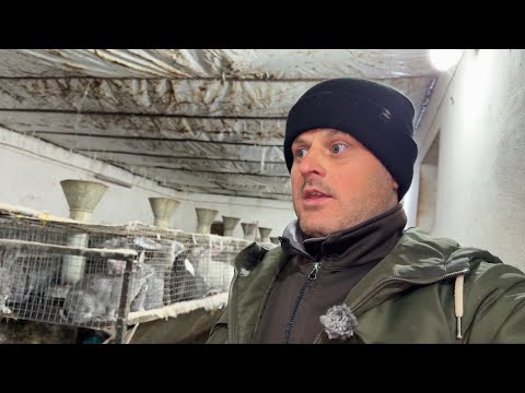 Видео: Ніяк з ними не закінчу 😂