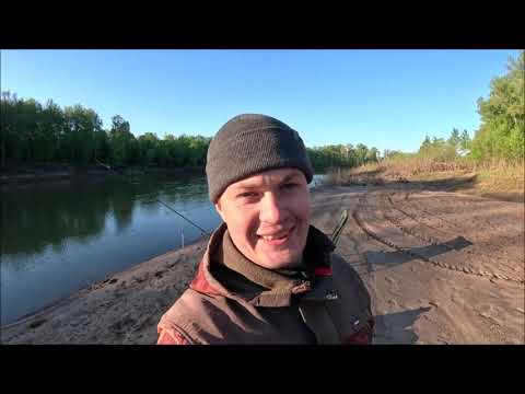 Видео: донка против фидера на р Сим