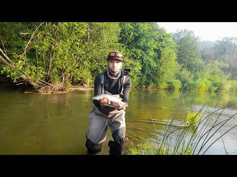 Видео: РЫБАЛКА НА МАЛОЙ РЕКЕ В ЖАРУ.