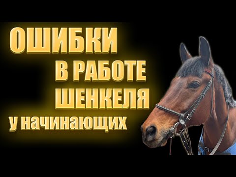 Видео: Ошибки при работе шенкелем у начинающих всадников