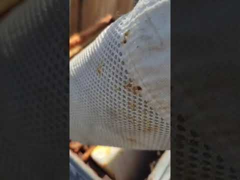 Видео: Горная пасека.🏔️