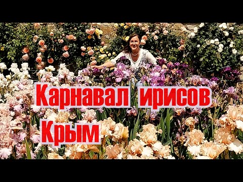Видео: Тысячи радужных ирисов очаровывают и опьяняют всяк сюда входящего!