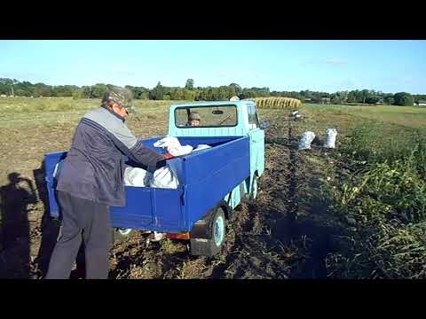 Видео: Перевезення картоплі з городу міні вантажівкою .