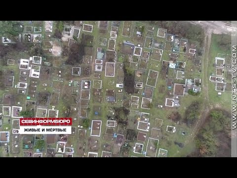 Видео: Трупный запах беспокоит: в Севастополе хоронят покойников под окнами живых граждан