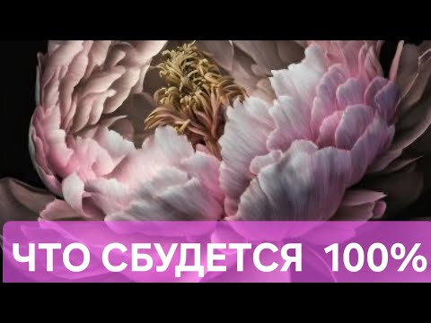 Видео: ЧТО СБУДЕТСЯ 100%🥰🥰🥰🥰🥰