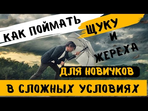 Видео: Как поймать Новичку ЖЕРЕХА и ЩУКУ в сложных УСЛОВИЯХ на СПИННИНГ с БЕРЕГА