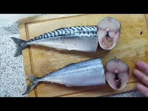 Видео: Скумбрия и макрель из светофора, есть ли разница. Консервы в автоклаве.