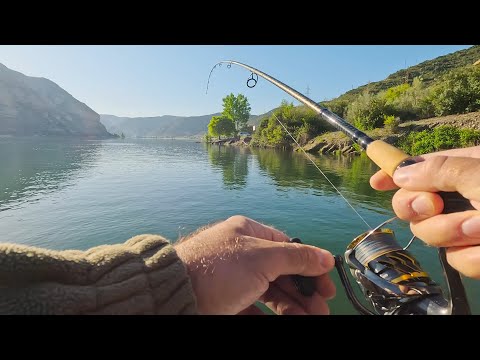 Видео: СУДАК весной на Ebro и Segre  1 ЧАСТЬ