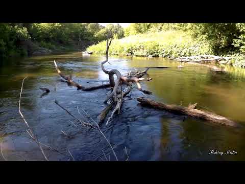 Видео: 24 часа на реке Ток. Рыбалка сплавом. Быстрая песчаная река, как в тайге! Сплав с ночевкой.