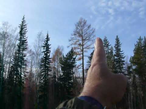 Видео: Ориентирование по Луне без часов (практический пример 3)