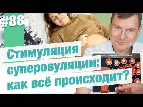 Видео: Вся правда о стимуляции суперовуляции: чего не расскажут на первом приёме