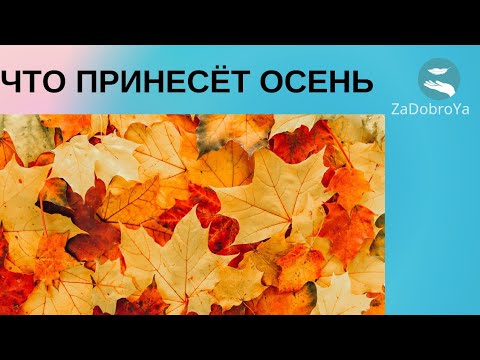 Видео: Что Вас ждёт этой осенью👆👆👆