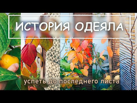 Видео: Вяжу огромное колючее ОДЕЯЛО на зиму (пряжа Пехорка Деревенская)  | Еду в Милан на выходные одна