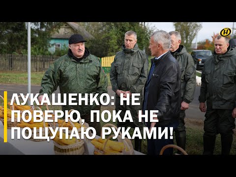 Видео: Лукашенко: МЫ С УЧЕНЫХ НАЧНЕМ ШКУРУ ДРАТЬ! ВЫ ДОЛЖНЫ ДАТЬ РЕЗУЛЬТАТ! / Президент в Шкловском районе