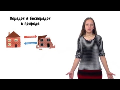 Видео: Клеточное дыхание. Лекция 1. Часть 1. Порядок, хаос и энергия