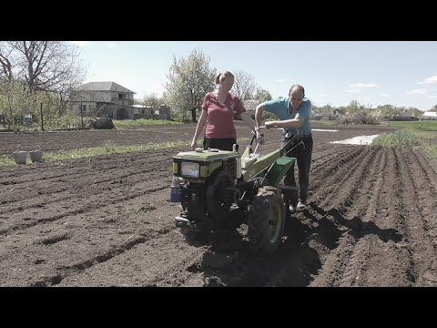 Видео: Посадка картофеля тяжелым мотоблоком 2021