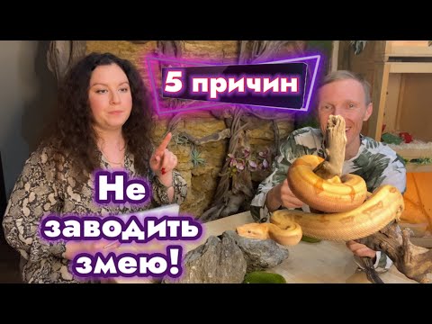 Видео: 5 причин не заводить змею