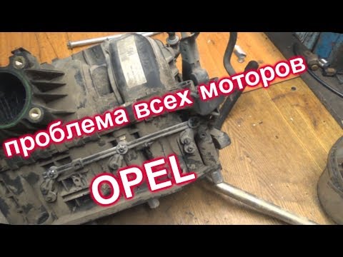 Видео: проблема всех моторов опель