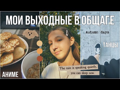 Видео: ЖИЗНЬ В ОБЩАГЕ НГЛУ |  готовка, английский, уборка, латынь, 1 курс